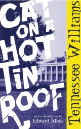 cat_on_a_hot_tin_roof