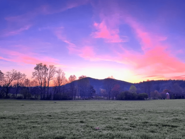 What Did I Read in&nbsp;2025?