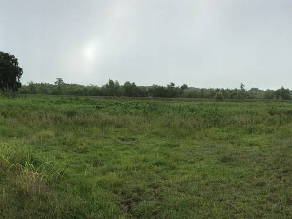 “What is an American?”: Early American Literature Course&nbsp;Syllabus