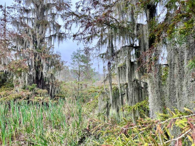 “What It Took for Me to Stop Hiding My Politics in the South”: An Interview with the Founder of Y’all Ain’t&nbsp;Right