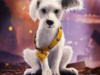 Why Do We Love Dogs As Much As We&nbsp;Do?